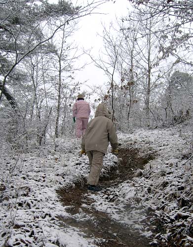 산길의 눈은 녹아 있네요. 